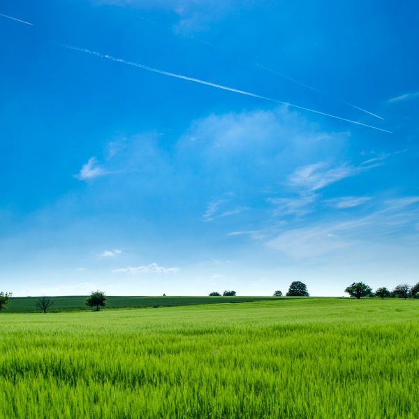 草原と空の画像